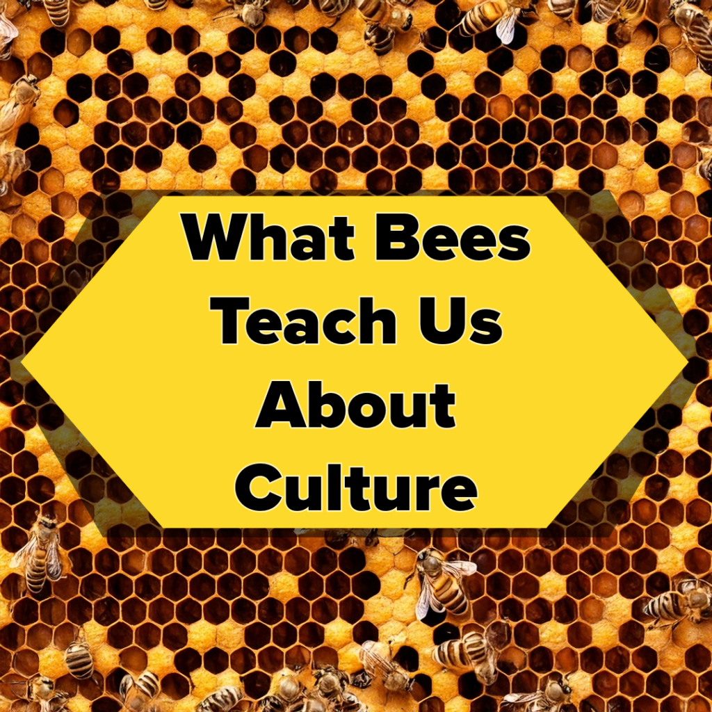 Title Photo for Article about What Bees Teach Us About Culture. Title of the article is in bold lettering with picture of a hive with bees caring for it in the background.