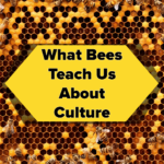 Title Photo for Article about What Bees Teach Us About Culture. Title of the article is in bold lettering with picture of a hive with bees caring for it in the background.