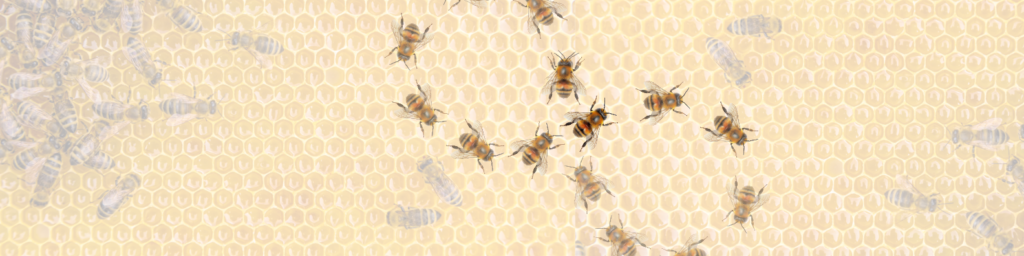 Illustration of bee wagging and moving in a figure eight pattern, communicating with the other bees.